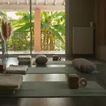 Maison Tournesol Massages Pau Jurançon Gan