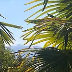 Bed and breakfast Maison Tournesol Massages Pau Jurancon 3*