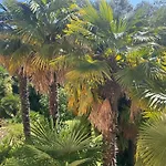 Maison Tournesol Massages Pau Jurancon 3* Gan