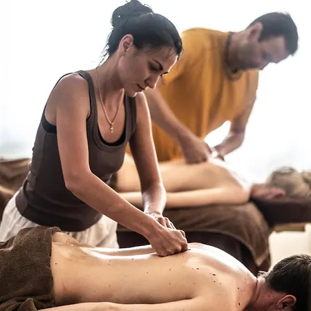 Couette-café Maison Tournesol Massages Pau Jurancon *