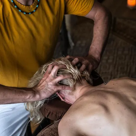 Couette-café Maison Tournesol Massages Pau Jurancon *