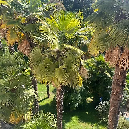 Maison Tournesol Massages Pau Jurancon Frühstückspension 3*