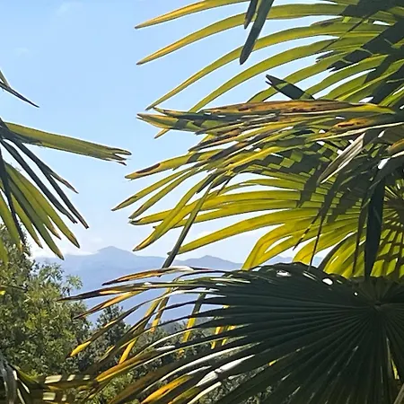 Frühstückspension Maison Tournesol Massages Pau Jurancon 3*