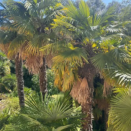 Maison Tournesol Massages Pau Jurancon 3* Gan