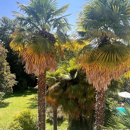 Maison Tournesol Massages Pau Jurancon Frühstückspension