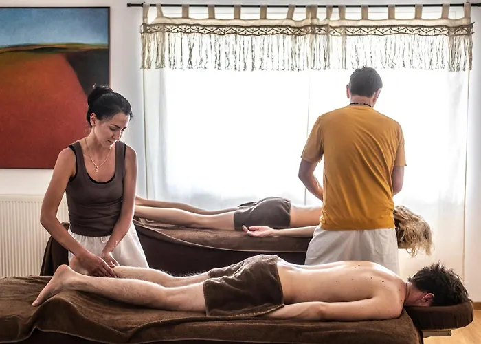 Maison Tournesol Massages Pau Jurancon 3*